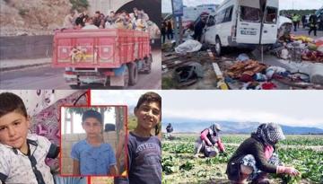 Mevsimlik tarım işçisi terörü son bulmalı
