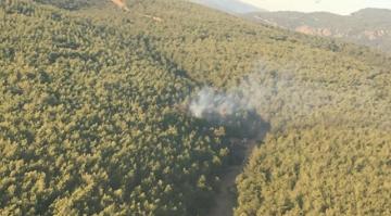 İzmir’in Buca ilçesinde orman yangını çıktı