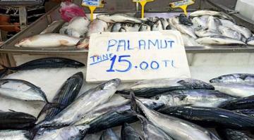 Palamut fiyatlarında ‘rüzgar’ artışı