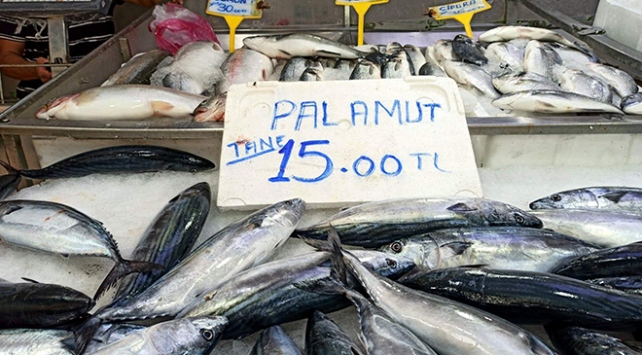 Palamut fiyatlarında ‘rüzgar’ artışı