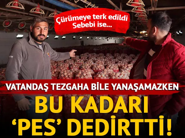 Soğanlar depolarda çürüyor: Sebebi ise…