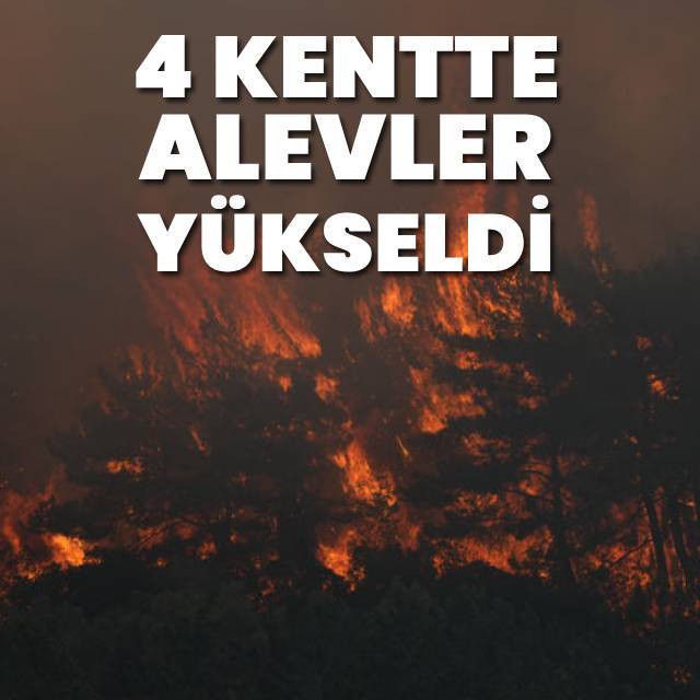 Edirne, İzmir, Bursa ve Balıkesir’de orman yangını